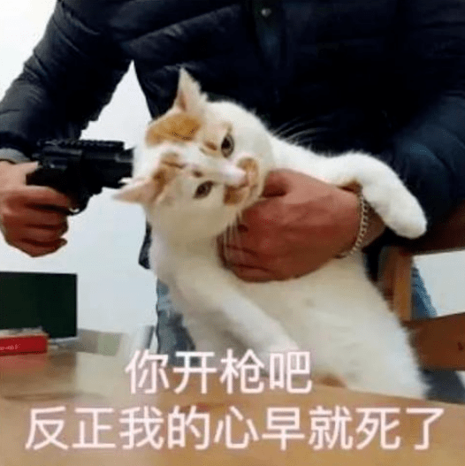 科目|千万别惹驾校教练！怼人现场曝光，笑到窒息哈哈哈哈哈……