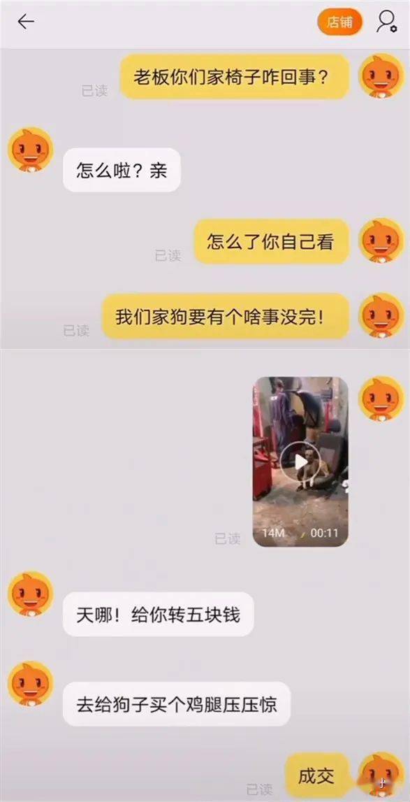 后缀|“千万不要随意修改拍一拍后缀!”不然……哈哈哈哈哈哈哈
