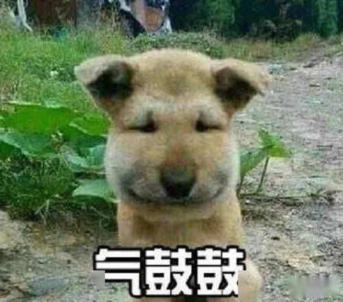 后缀|“千万不要随意修改拍一拍后缀!”不然……哈哈哈哈哈哈哈