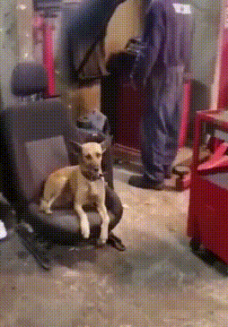 后缀|“千万不要随意修改拍一拍后缀!”不然……哈哈哈哈哈哈哈