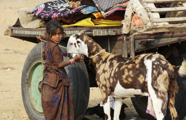 实拍印度儿童的悲惨生活：六岁开始打工，和大人一样在工地干活(1)