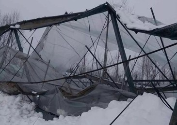 辽宁暴雪已致超5万栋农业设施受灾