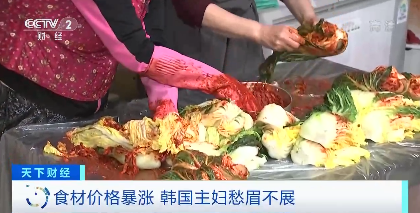 “泡菜季”白菜价格上涨超53% 韩国主妇愁了
