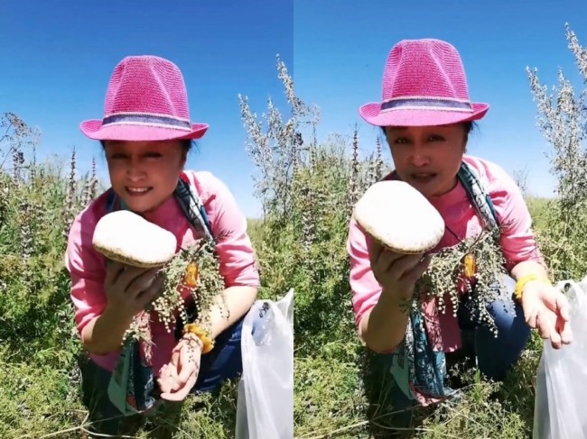 于月仙社交平台最后身影：草原采蘑菇 打扮如少女