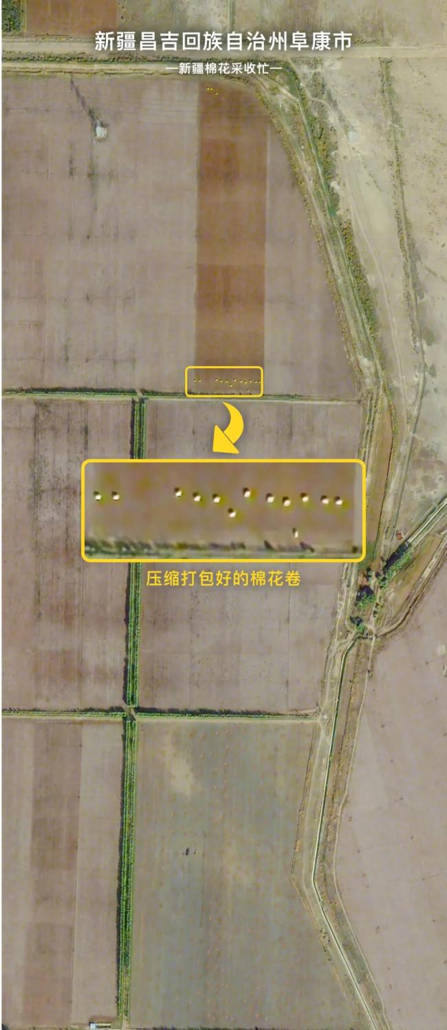 新疆棉花大丰收 卫星图直击“机械化”现场