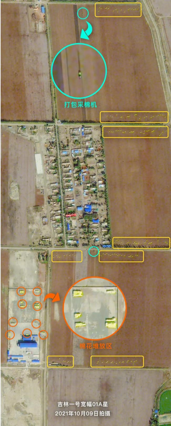 新疆棉花大丰收 卫星图直击“机械化”现场