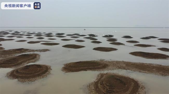 鄱阳湖水位跌破12米 进入枯水期
