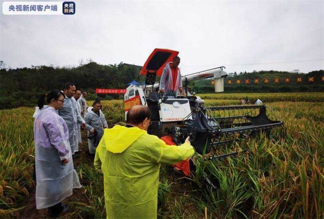 1603.9公斤！中国杂交水稻双季亩产创新纪录